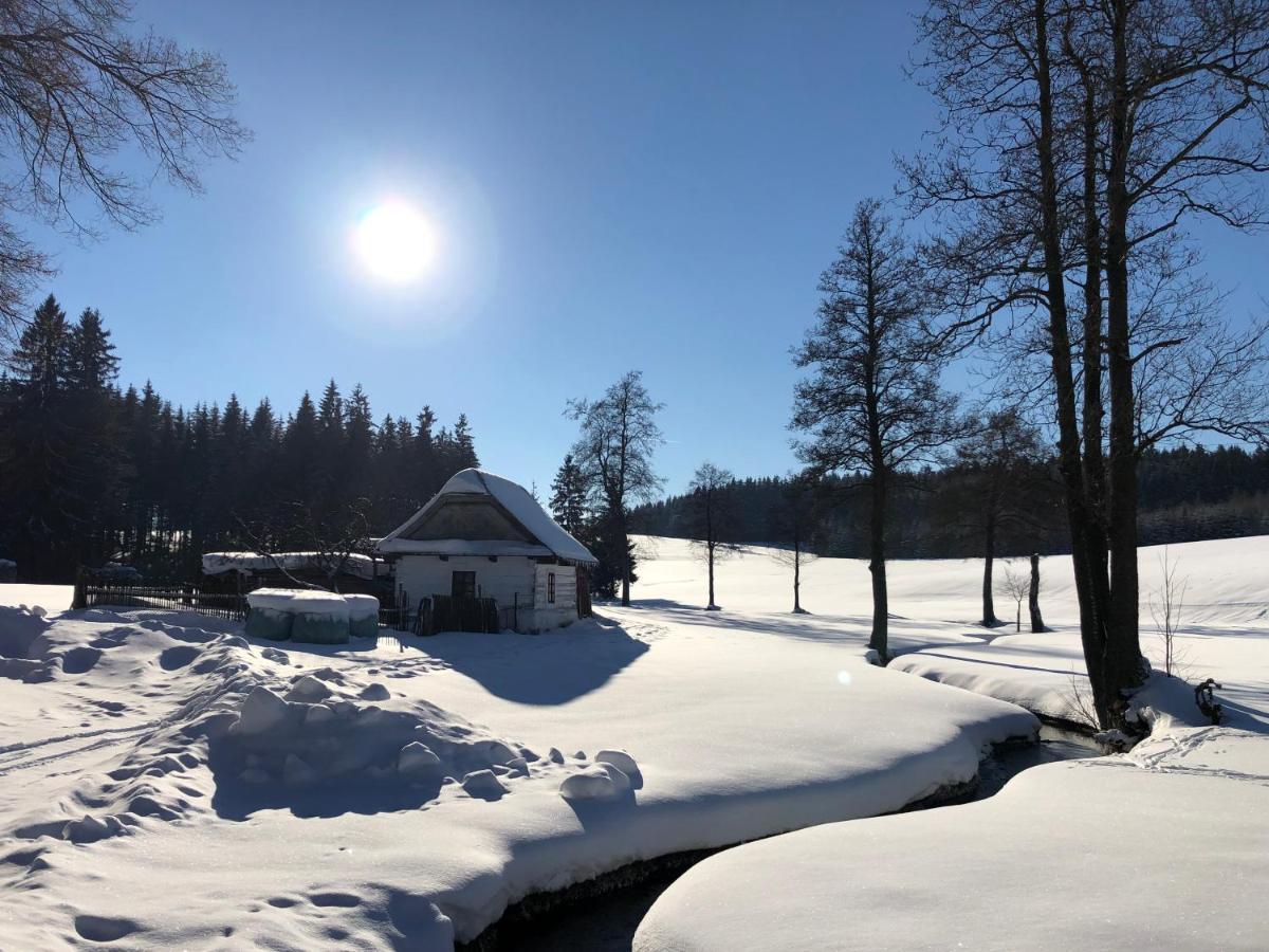 Hotel A Penzion Pegas Vlachovice Buitenkant foto