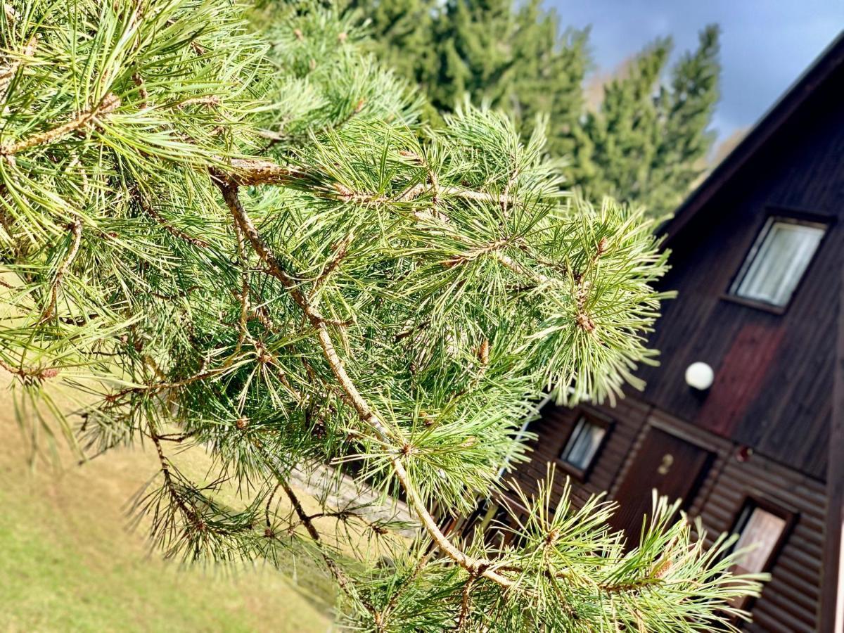 Hotel A Penzion Pegas Vlachovice Buitenkant foto